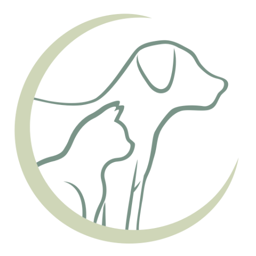 Avenue Veterinary Clinic Favicon
