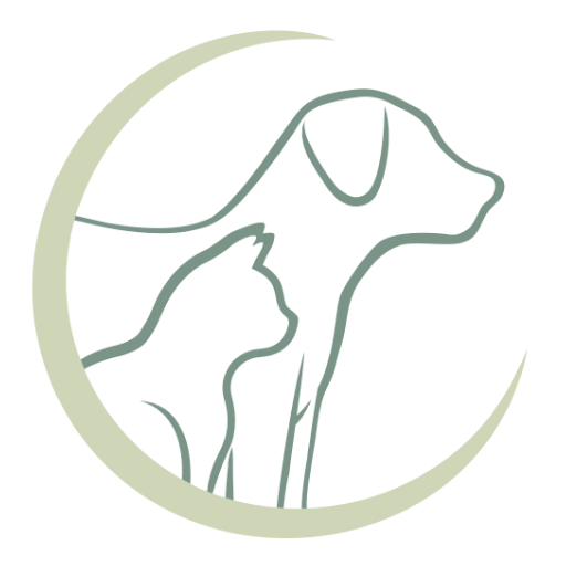 Avenue Veterinary Clinic Favicon
