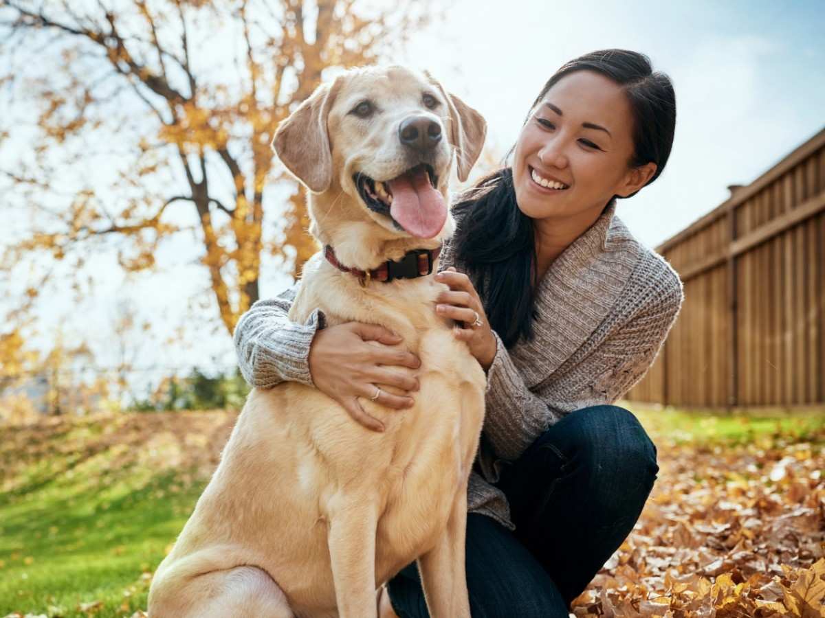 dog with owner