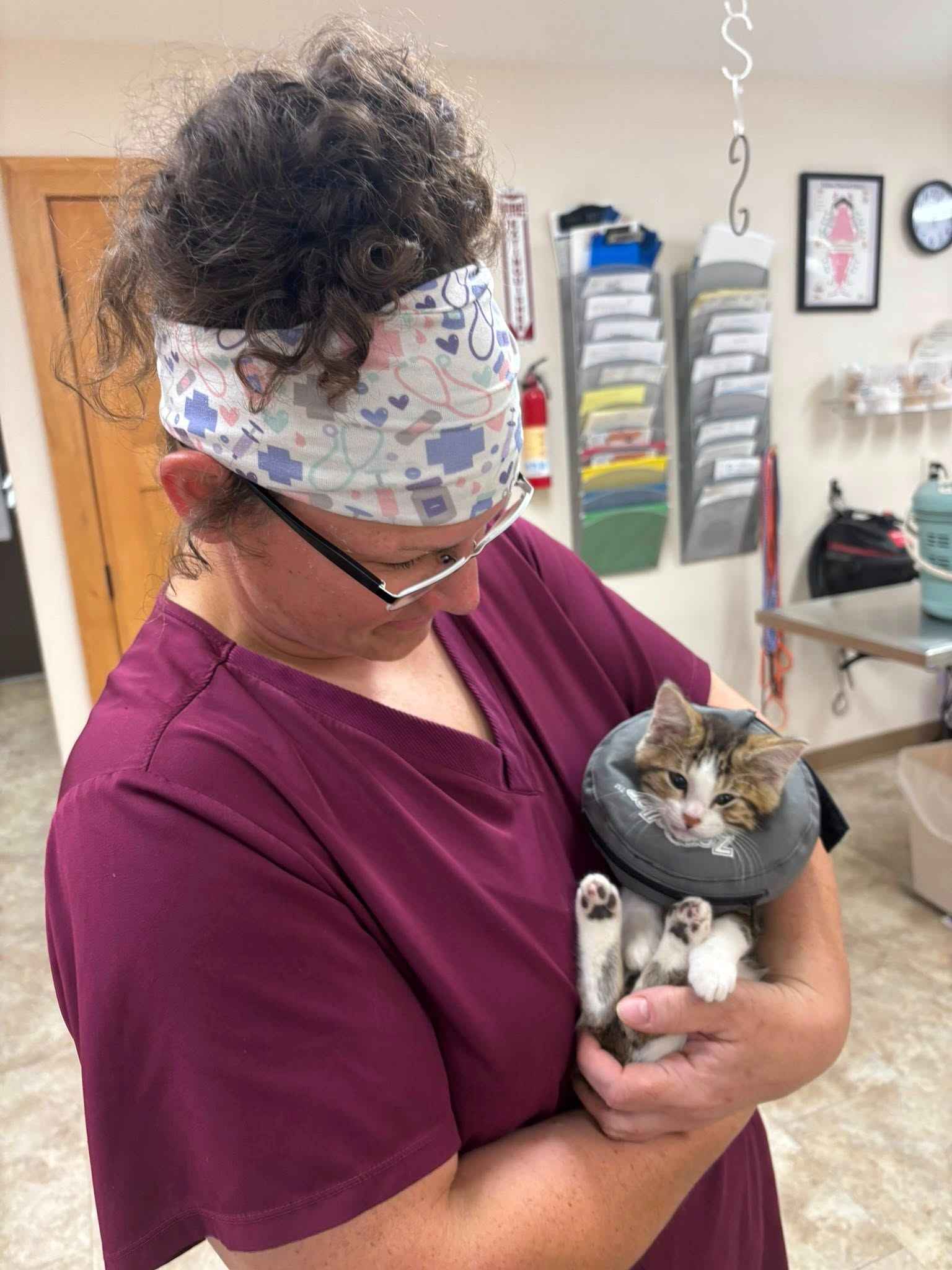 woman holding kitten patient