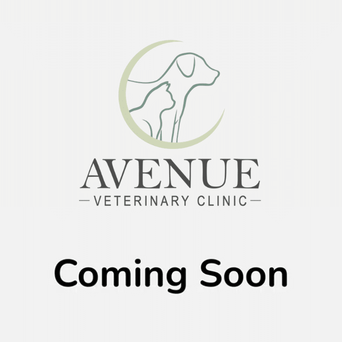 Coming Soon placeholder